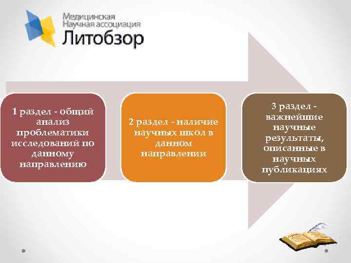 1 раздел - общий анализ проблематики исследований по данному направлению 2 раздел - наличие