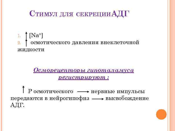 СТИМУЛ ДЛЯ СЕКРЕЦИИАДГ [Na+] 2. осмотического давления внеклеточной жидкости 1. Осморецепторы гипоталамуса регистрируют :