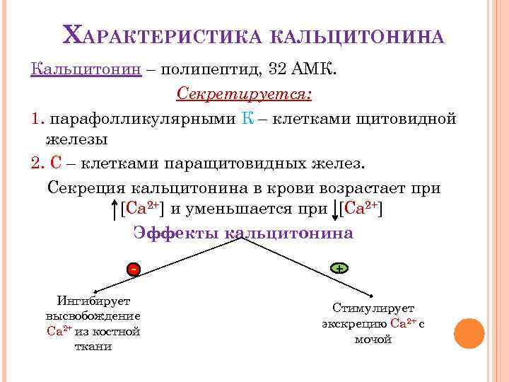 Механизм действия кальцитонина схема