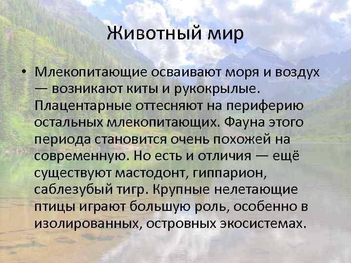 Животный мир • Млекопитающие осваивают моря и воздух — возникают киты и рукокрылые. Плацентарные