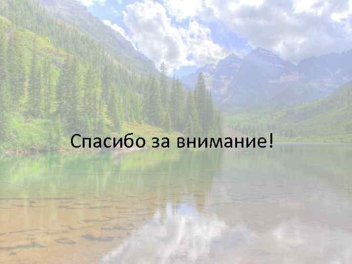 Спасибо за внимание! 