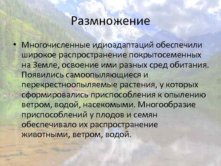 Размножение • Многочисленные идиоадаптаций обеспечили широкое распространение покрытосеменных на Земле, освоение ими разных сред