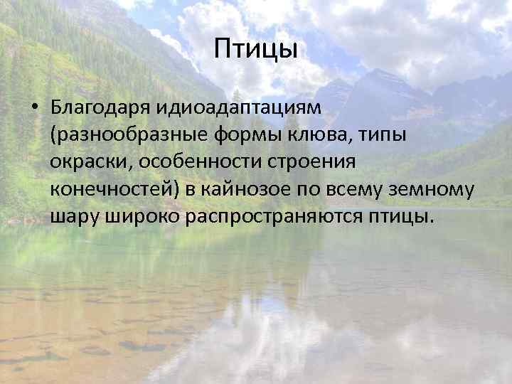 Птицы • Благодаря идиоадаптациям (разнообразные формы клюва, типы окраски, особенности строения конечностей) в кайнозое