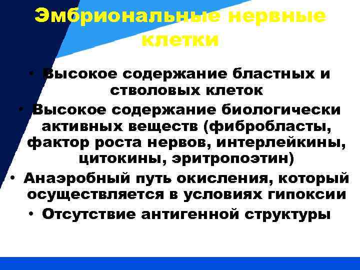 Эмбриональные нервные клетки • Высокое содержание бластных и стволовых клеток • Высокое содержание биологически