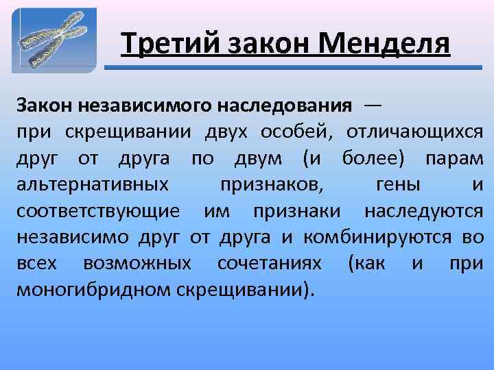 Третий закон Менделя Закон независимого наследования — при скрещивании двух особей, отличающихся друг от