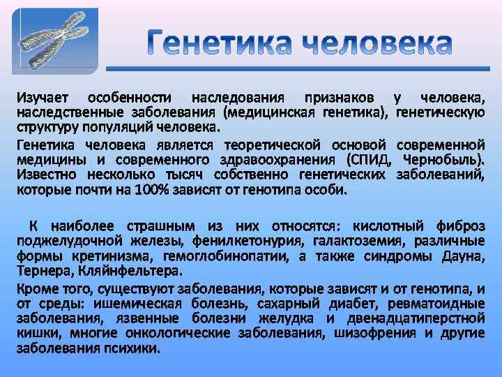 Изучает особенности наследования признаков у человека, наследственные заболевания (медицинская генетика), генетическую структуру популяций человека.