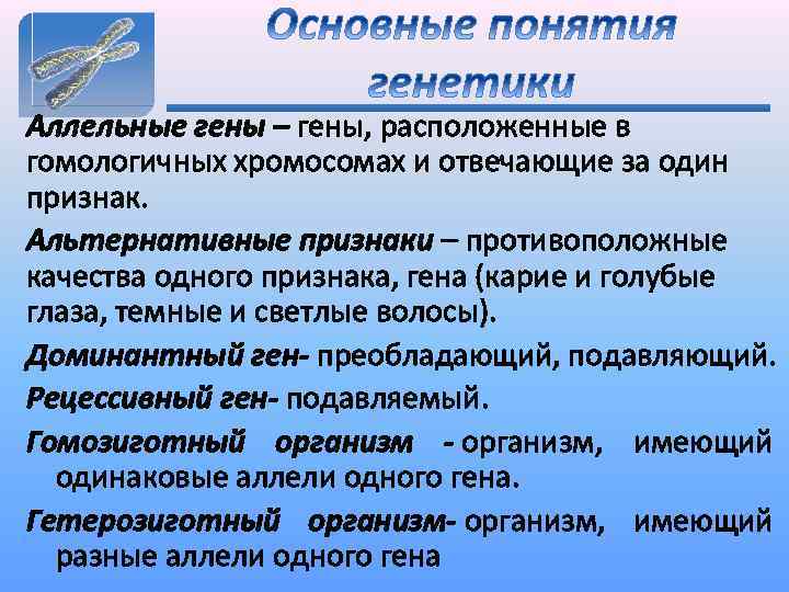 Аллельные гены – гены, расположенные в гомологичных хромосомах и отвечающие за один признак. Альтернативные