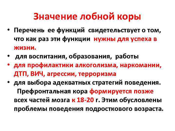 Значение лобной коры • Перечень ее функций свидетельствует о том, что как раз эти