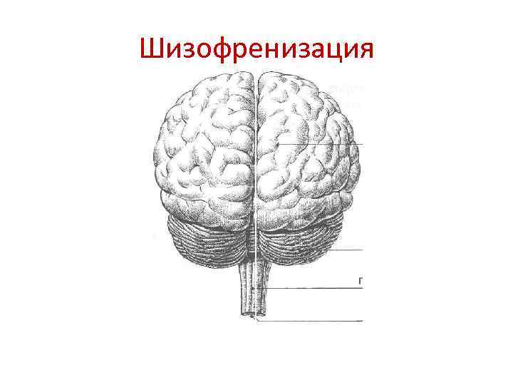 Шизофренизация 