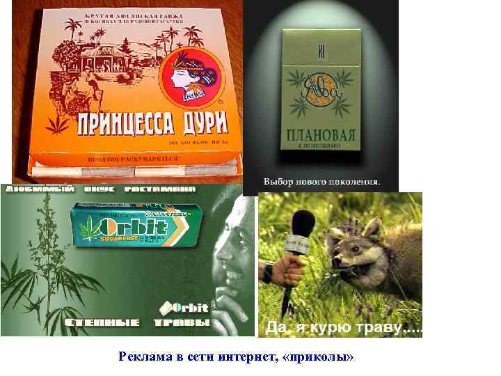 Реклама в сети интернет, «приколы» 