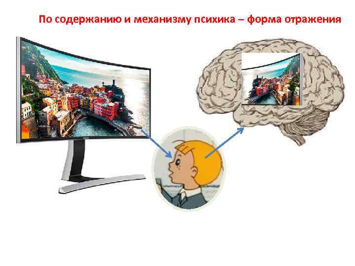 По содержанию и механизму психика – форма отражения 