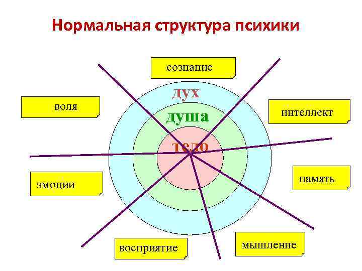  Нормальная структура психики сознание ввволя дух душа интеллект тело память эмоции восприятие мышление