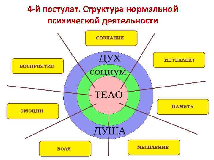 4 -й постулат. Структура нормальной психической деятельности 