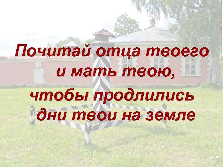 Почитай отца твоего и мать твою, чтобы продлились дни твои на земле 