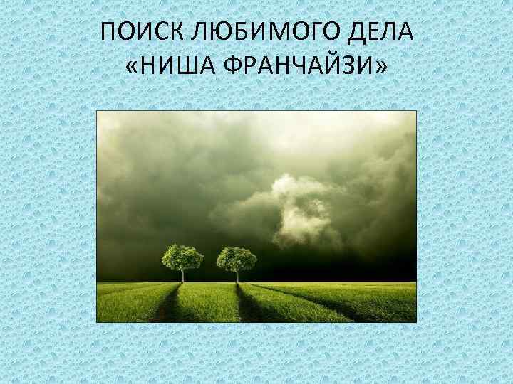 ПОИСК ЛЮБИМОГО ДЕЛА «НИША ФРАНЧАЙЗИ» 