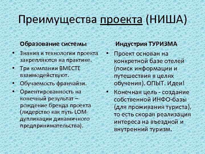 Преимущества проекта (НИША) Образование системы Индустрия ТУРИЗМА • Знания и технологии проекта • Проект