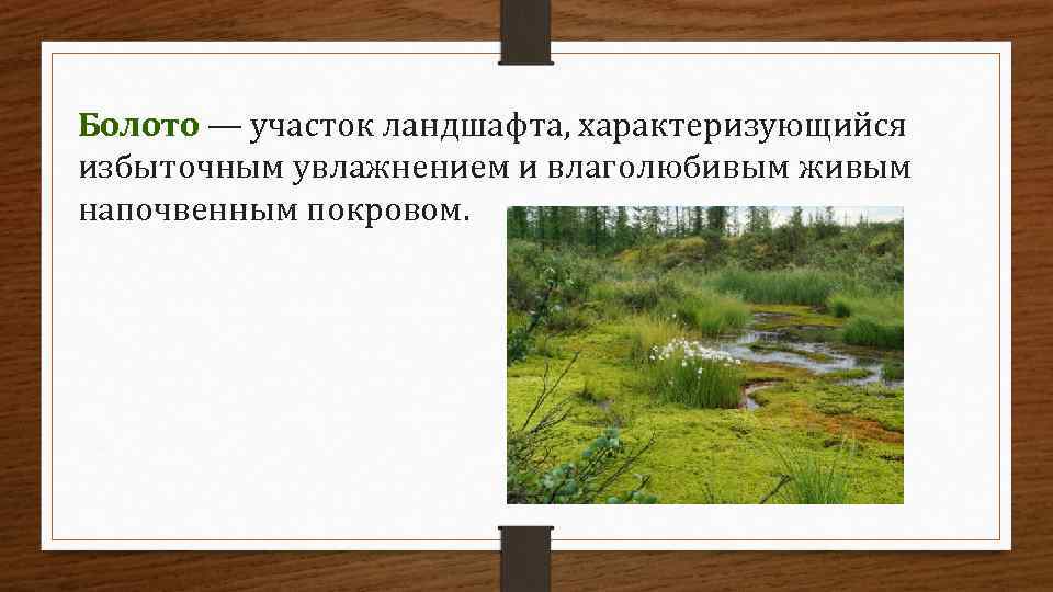 Болото — участок ландшафта, характеризующийся избыточным увлажнением и влаголюбивым живым напочвенным покровом. 