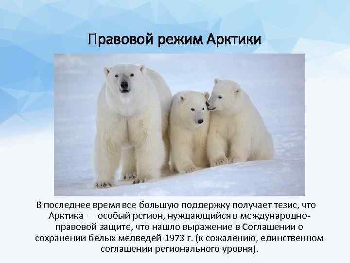 Правовой режим Арктики В последнее время все большую поддержку получает тезис, что Арктика —