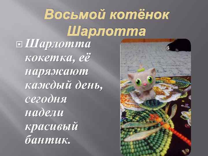 Восьмой котёнок Шарлотта кокетка, её наряжают каждый день, сегодня надели красивый бантик. 