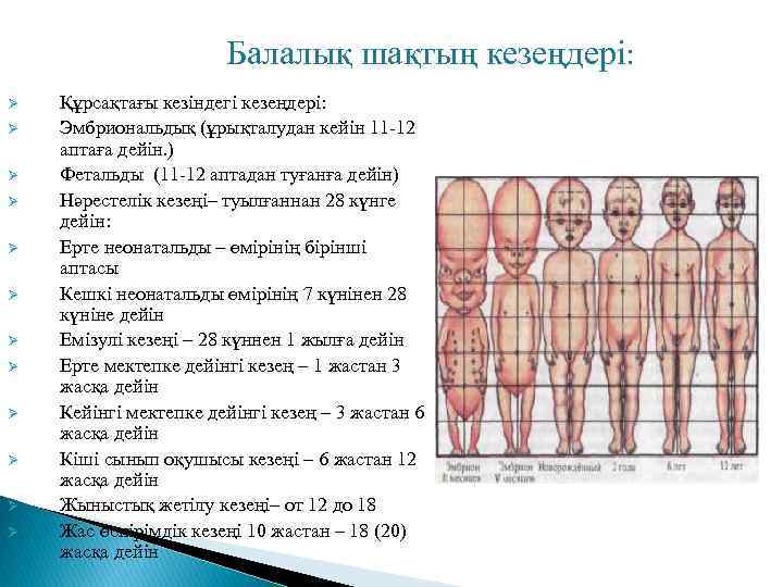 Балалық шақтың кезеңдері: Ø Ø Ø Құрсақтағы кезіндегі кезеңдері: Эмбриональдық (ұрықталудан кейін 11 -12