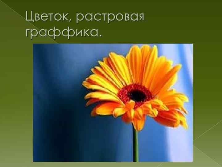 Цветок, растровая граффика. 