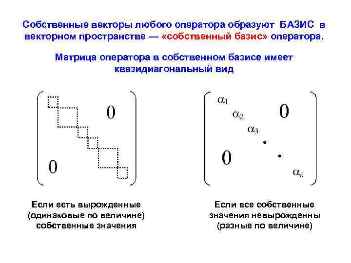 Собственные векторы любого оператора образуют БАЗИС в векторном пространстве — «собственный базис» оператора. Матрица