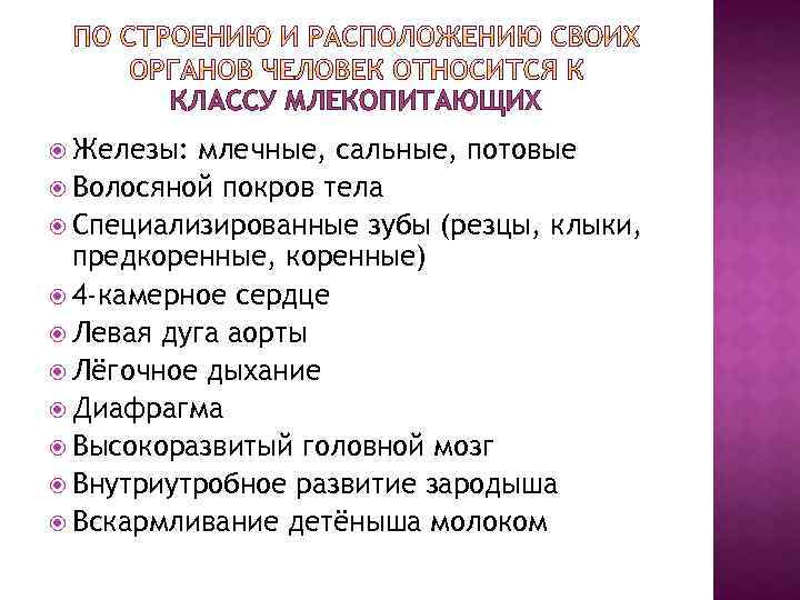 КЛАССУ МЛЕКОПИТАЮЩИХ Железы: млечные, сальные, потовые Волосяной покров тела Специализированные зубы (резцы, клыки, предкоренные,