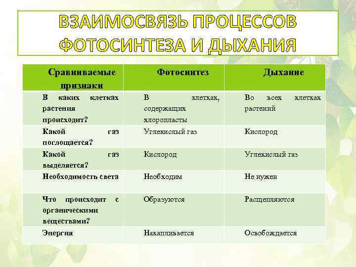 Сравнение процессоров фотосинтеза и дыхания таблица 6 класс ответы