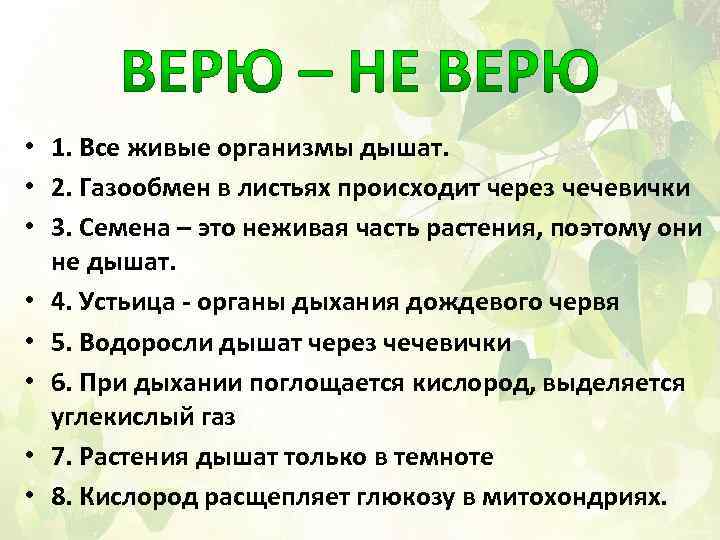  • 1. Все живые организмы дышат. • 2. Газообмен в листьях происходит через