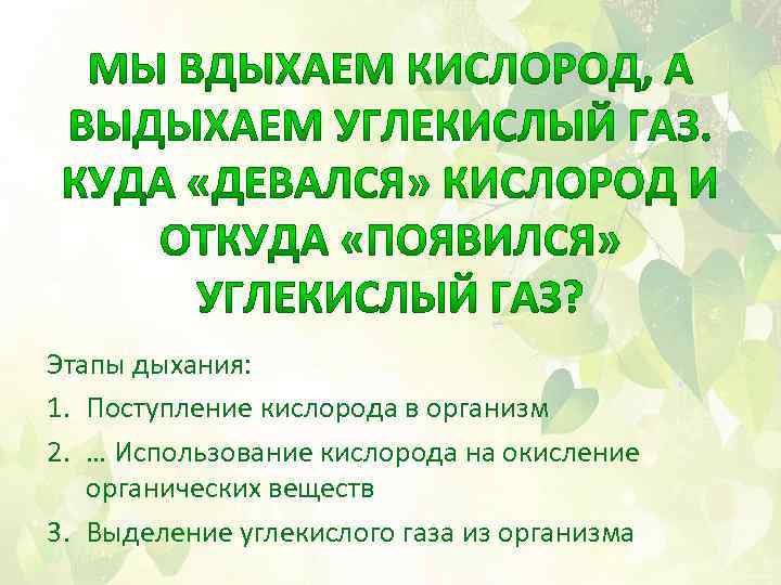 Этапы дыхания: 1. Поступление кислорода в организм 2. … Использование кислорода на окисление органических