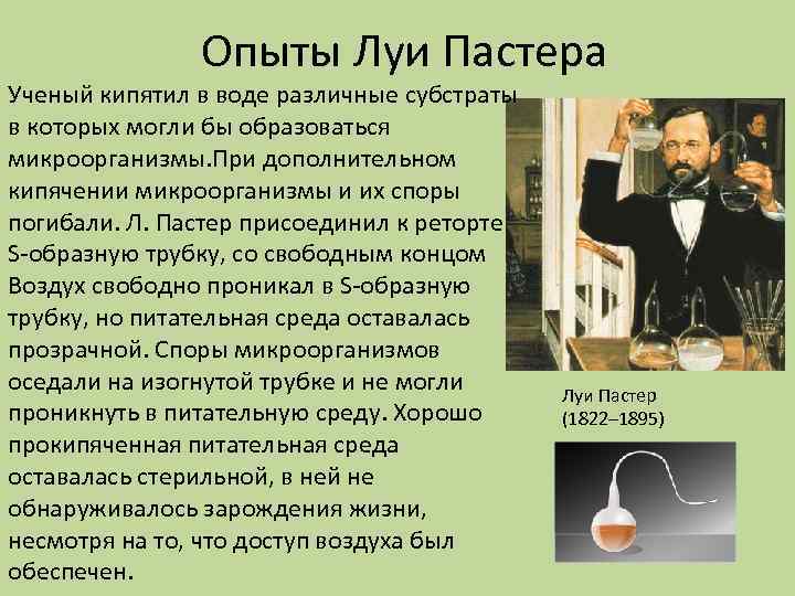 Опыты Луи Пастера Ученый кипятил в воде различные субстраты в которых могли бы образоваться