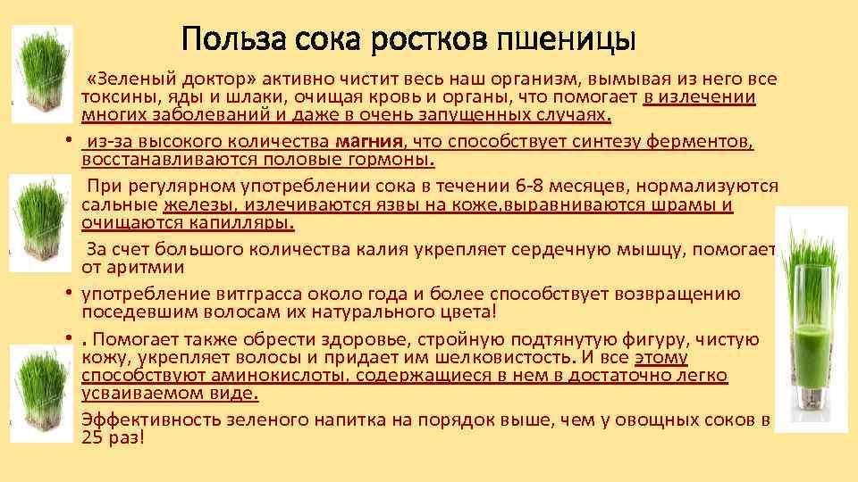 Польза сока ростков пшеницы • «Зеленый доктор» активно чистит весь наш организм, вымывая из