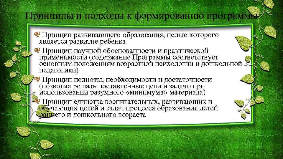 Принципы и подходы к формированию программы Принцип развивающего образования, целью которого является развитие ребенка