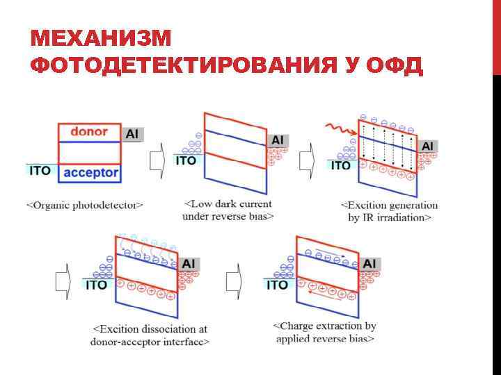 МЕХАНИЗМ ФОТОДЕТЕКТИРОВАНИЯ У ОФД 