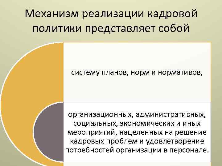 Механизм реализации кадровой политики представляет собой систему планов, норм и нормативов, организационных, административных, социальных,