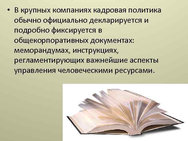  • В крупных компаниях кадровая политика обычно официально декларируется и подробно фиксируется в