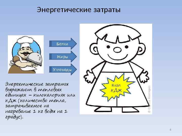 Энергетические затраты Белки Жиры Углеводы Энергетические затраты выражают в тепловых единицах – килокалориях или