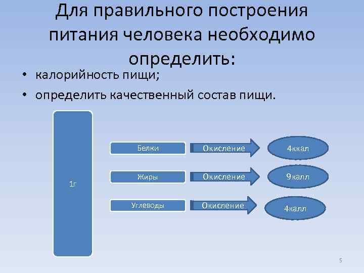 Для правильного построения питания человека необходимо определить: • калорийность пищи; • определить качественный состав