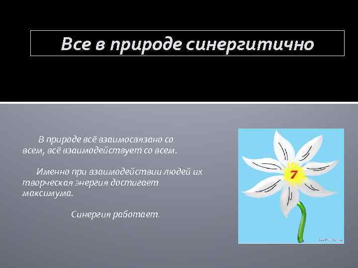 Все в природе синергитично В природе всё взаимосвязано со всем, всё взаимодействует со всем.
