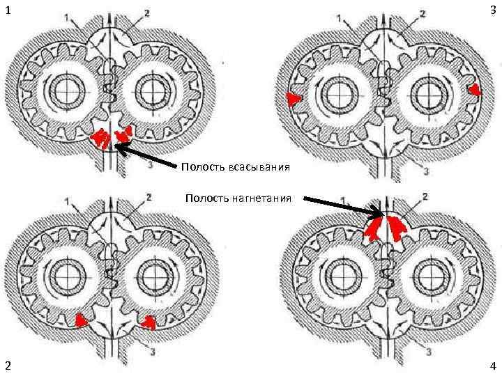1 3 Полость всасывания Полость нагнетания 2 4 