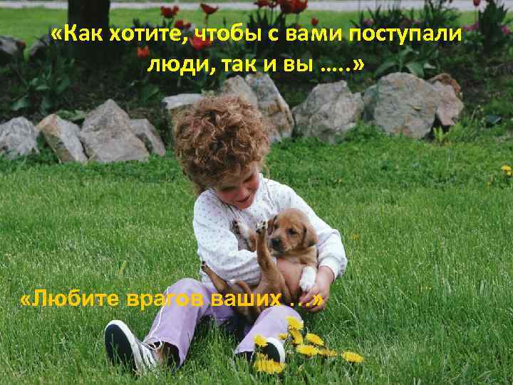  «Как хотите, чтобы с вами поступали люди, так и вы …. . »
