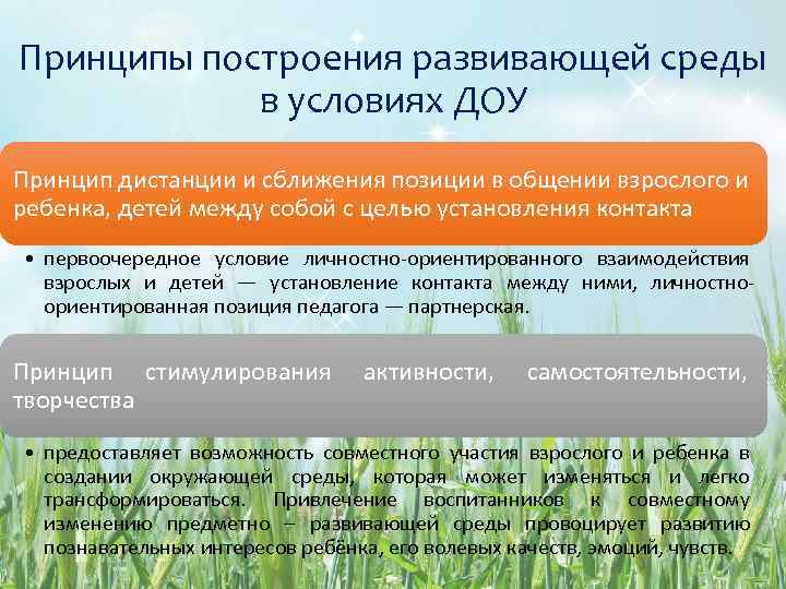 Принципы построения развивающей среды в условиях ДОУ Принцип дистанции и сближения позиции в общении