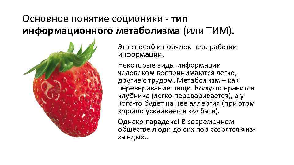 Основное понятие соционики - тип информационного метаболизма (или ТИМ). Это способ и порядок переработки