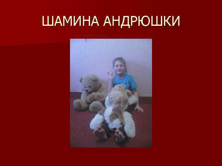 ШАМИНА АНДРЮШКИ 