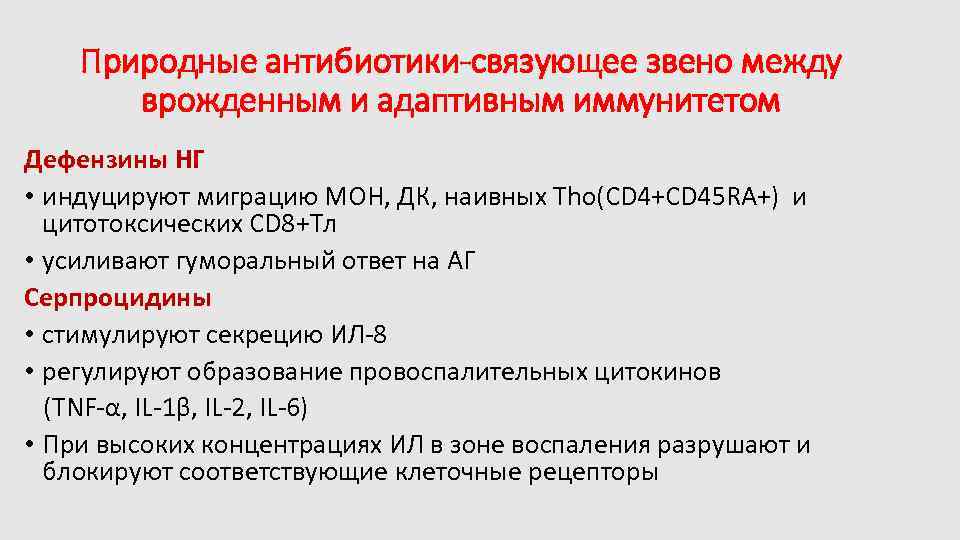 Природные антибиотики-связующее звено между врожденным и адаптивным иммунитетом Дефензины НГ • индуцируют миграцию МОН,