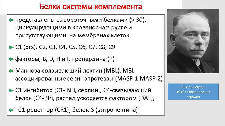 Белки системы комплемента представлены сывороточными белками (> 30), циркулирующими в кровеносном русле и присутствующими