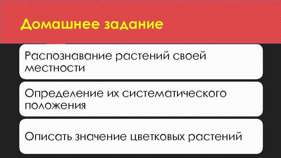 Домашнее задание Распознавание растений своей местности Определение их систематического положения Описать значение цветковых растений