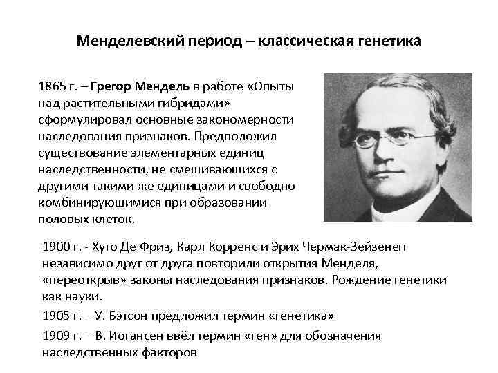 Менделевский период – классическая генетика 1865 г. – Грегор Мендель в работе «Опыты над