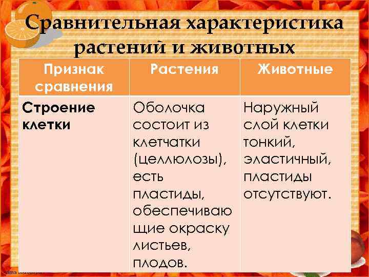 Сравнительная характеристика растений и животных Признак сравнения Строение клетки Растения Оболочка состоит из клетчатки