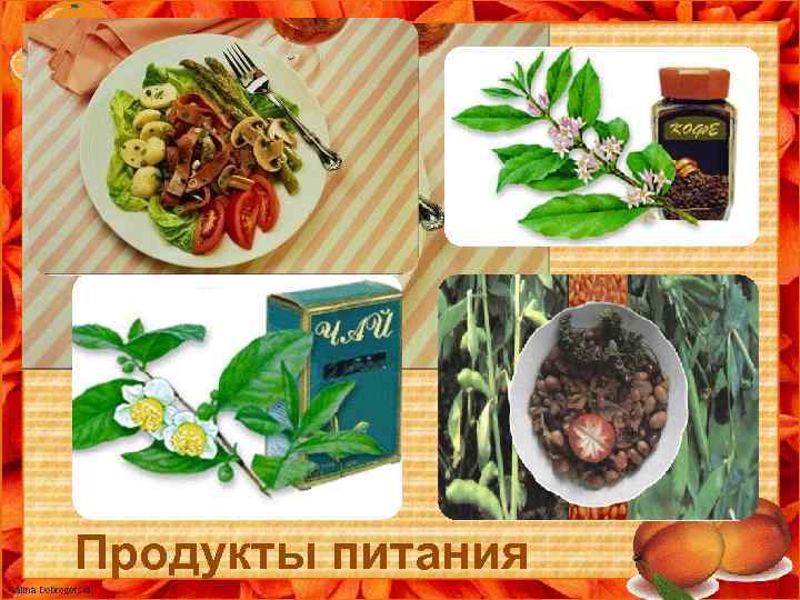 Продукты питания 